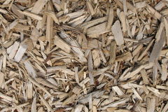 biomass boilers Dingleton
